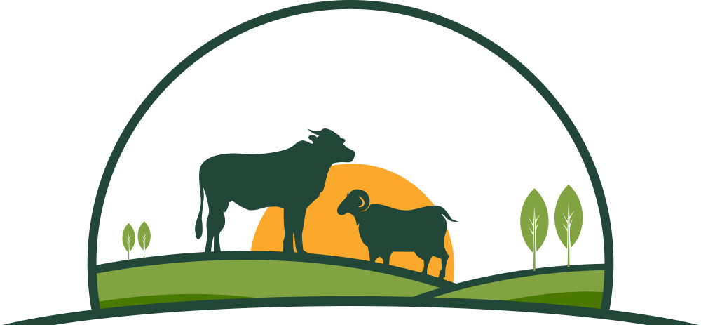 آوا تجارت راشین